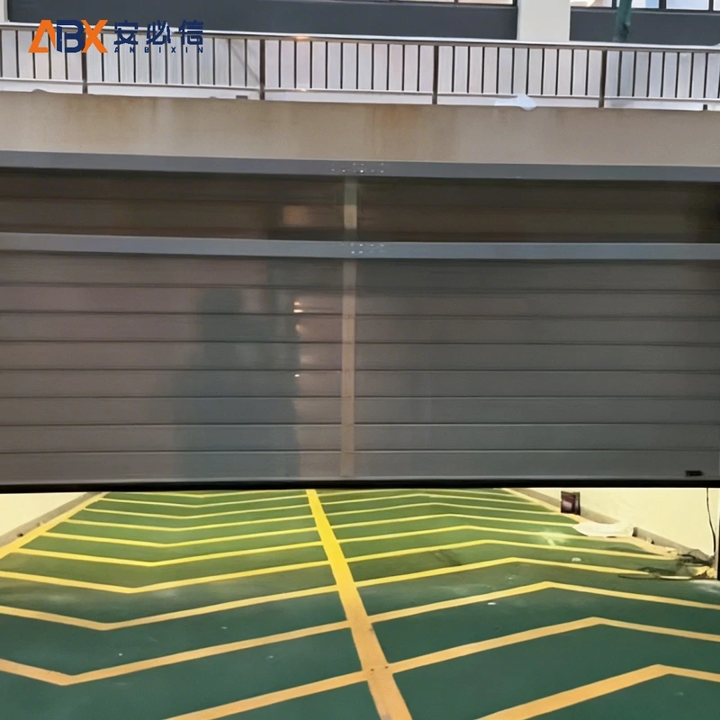 阿里地区金属高速门